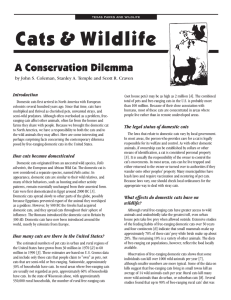 Cats &amp; Wildlife A Conservation Dilemma Introduction