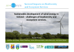 Sustainable development of wind energy in  Ireland – challenges of biodiversity and  ecosystem services. 