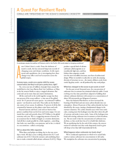 A A Quest For Resilient Reefs