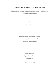 ALLOMETRIC SCALING IN CENTRARCHID FISH Enzyme Levels in Muscles