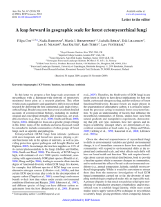 A leap forward in geographic scale for forest ectomycorrhizal fungi ox arsoum idartondo