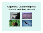 Argentina: Diverse regional habitats and their animals