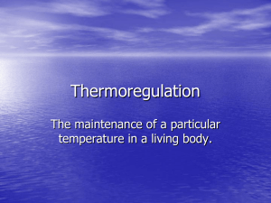 Thermoregulation - Weber State University