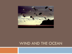 Wind and the Ocean - Bowie Aquatic Science