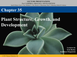35_Lecture_Presentation_PC
