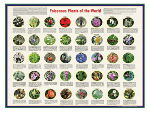 12 Lecture 09-01-2014 Poisonous Plants 1