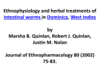 Herbal Worm Treatments in Dominica