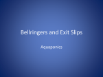 Bellringers and Exit Slips