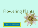 Flowering Plants - Herscher CUSD #2