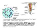 Transpiration - onlinebiosurgery