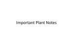 Important Plant Notes
