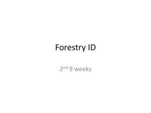Forestry ID
