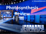 Photosynthesis Jeopardy