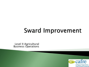 Sward Improvement 12.3MB