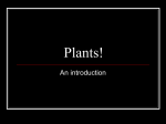 Plants! - BotsRule