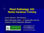 Plant Pathology 101 - UF/IFAS Extension Alachua County