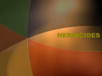 HERBICIDES