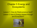 Chapter 5 Energy and Ecosystems
