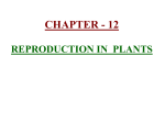 CHAPTER – 12 REPRODUCTION IN PLANTS