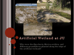 Artificial Wetland at JU - Jacksonville University