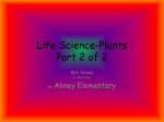 Life Science-Plants Part 2 of 2