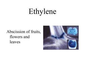 Ethylene - Carleton University