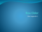Box Elder - Herrin High School