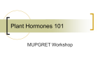 Plant Hormones 101 - Mizzou