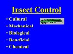 Insect Management - Integrated Pest Management