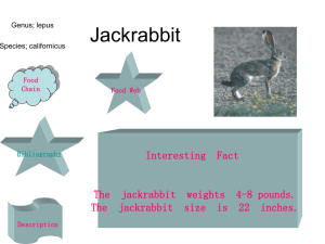 Jackrabbit - Gulf Coast Consortia