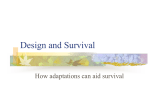 Design and Survival