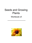 Seeds and Growing Plants - Latest News | UBC Let's Talk