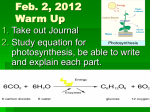 Feb. 2, 2012 Warm Up