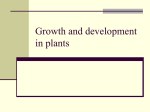 Growth and development in plants