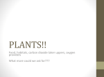 PLANTS!! - Woodstown-Pilesgrove Regional School District