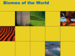 Biomes of the World - Mrs.Cain's World Geography