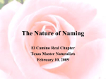 The Nature of Naming - Texas Master Naturalist