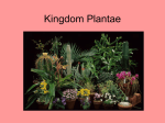 Kingdom Plantae - Porterville Unified School District