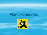 Plant Hormones - EPTS Biology Intro