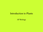 Introduction to Plants - Clark Pleasant Community School Corp