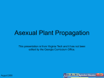 Asexual Plant Propagation