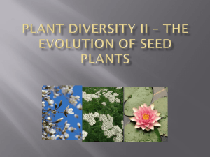 Plant Diversity II – The Evolution of Seed Plants