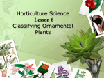 Horticulture Science