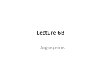 Lecture 6B