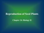 Reproduction of Seed Plants - Science Class: Mrs. Boulougouras