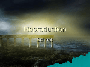 Reproduction