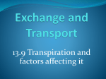 13.9 - Transpiration & Factors Affecting It