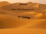Animals In the Sahara