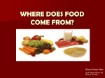 WHERE DOES FOOD COME FROM?