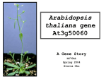 Arabidopsis thaliana gene At3g50060